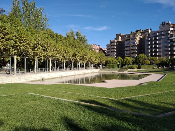 El Ayuntamiento Huesca inicia las actuaciones para combatir la presencia de estorninos en la ciudad