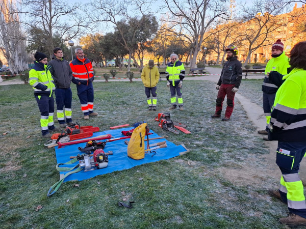 El Ayuntamiento de Huesca forma a trabajadores municipales sobre arbolado urbano