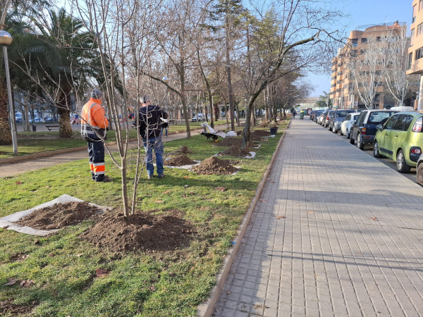 El Ayuntamiento de Huesca planta los 50 ciruelos rojos y los 4 robles que ha recibido de la Fundación ECOLEC