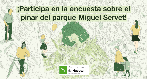 Banner encuesta pinar Miguel Servet